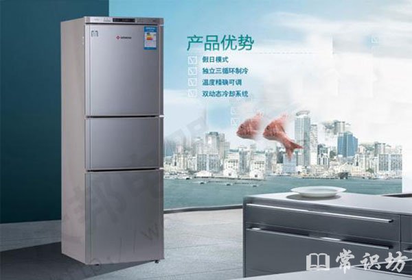 知名品牌冰箱10大排行，冰箱哪个品牌质量好