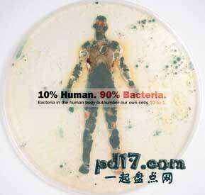 人体奥秘你所不知道的事Top3：人身上满是细菌