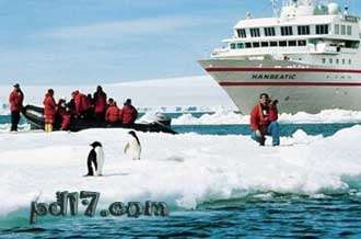 南极旅游的趣事Top7：半岛