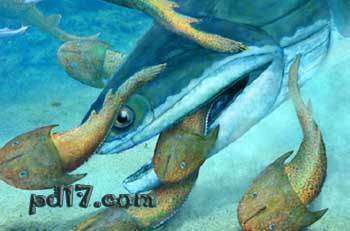 关于史前动物的新发现Top5：大鱼