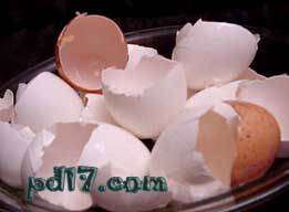 关于食物的十种迷信Top9：鸡蛋壳