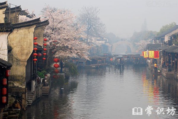 十大上海周边景点,上海十大周边景点排行榜