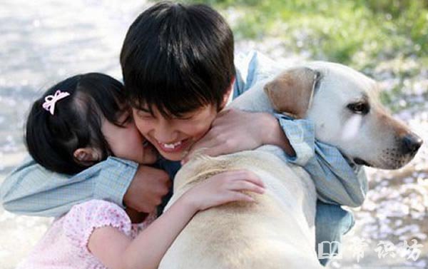 盘点十大关于宠物狗的电影排行榜top10