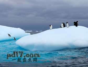 世界十大高温天气纪录盘点：南极最高温度