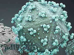 基因突变造成的罕见能力Top9：抵抗人类免疫缺陷病毒
