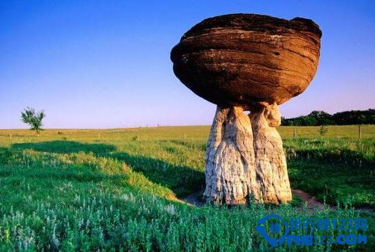 美国蘑菇岩州立公园蘑菇岩